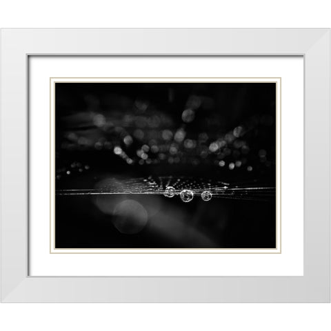 Spiderweb No 2 White Modern Wood Framed Art Print with Double Matting by Carson, Brian