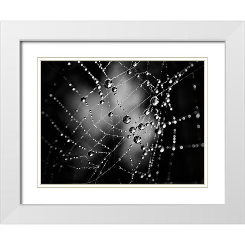 Spiderweb No 3 White Modern Wood Framed Art Print with Double Matting by Carson, Brian