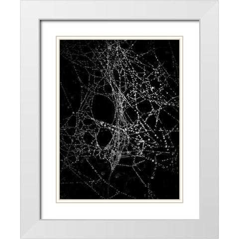 Spiderweb No 4 White Modern Wood Framed Art Print with Double Matting by Carson, Brian