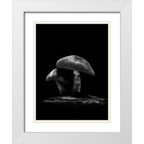 Toadstools on a Toronto Trail No 6 White Modern Wood Framed Art Print with Double Matting by Carson, Brian