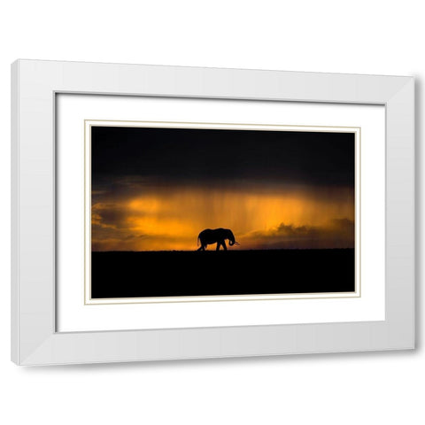 Elephant in a rain storm at sunset White Modern Wood Framed Art Print with Double Matting by Ortega, Xavier
