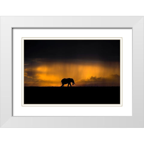 Elephant in a rain storm at sunset White Modern Wood Framed Art Print with Double Matting by Ortega, Xavier