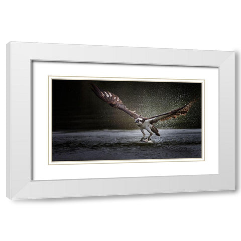 Deadly Catch White Modern Wood Framed Art Print with Double Matting by Chang, Phillip