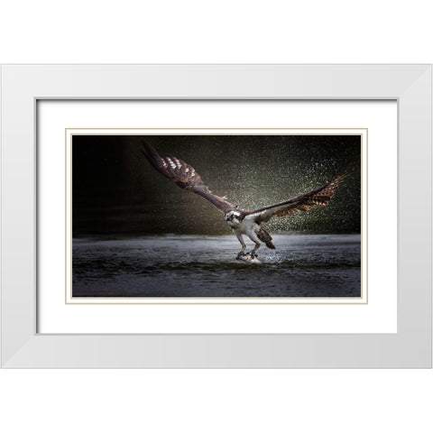 Deadly Catch White Modern Wood Framed Art Print with Double Matting by Chang, Phillip