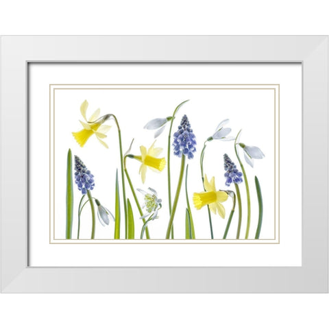 Spring White Modern Wood Framed Art Print with Double Matting by Disher, Mandy