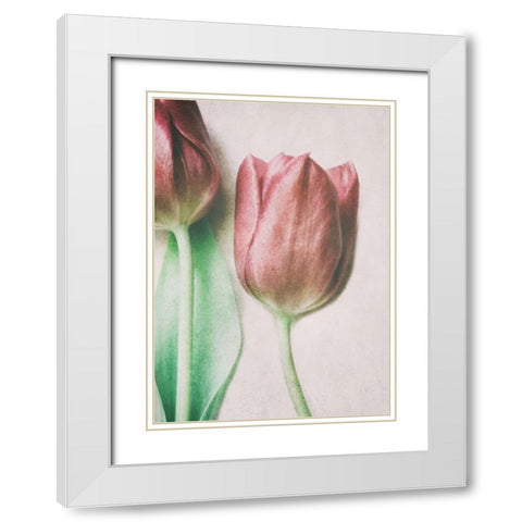 The Spring Lovers White Modern Wood Framed Art Print with Double Matting by Devos, Delphine