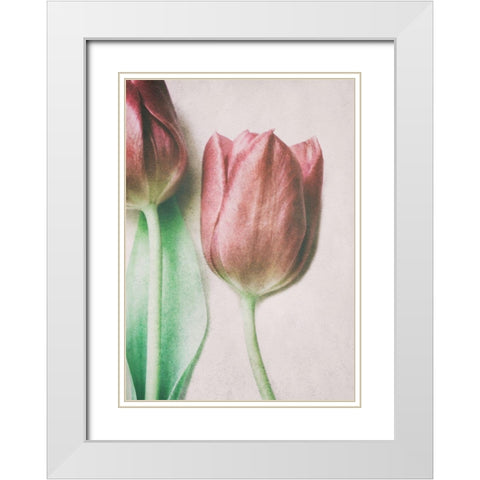 The Spring Lovers White Modern Wood Framed Art Print with Double Matting by Devos, Delphine