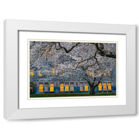 Morning at University of Washington White Modern Wood Framed Art Print with Double Matting by Jacobs, Lydia
