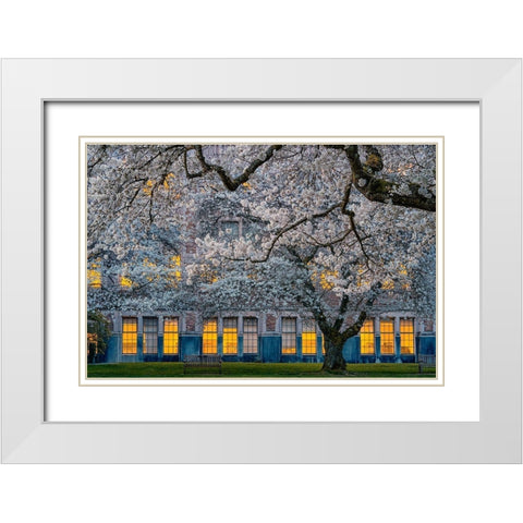Morning at University of Washington White Modern Wood Framed Art Print with Double Matting by Jacobs, Lydia