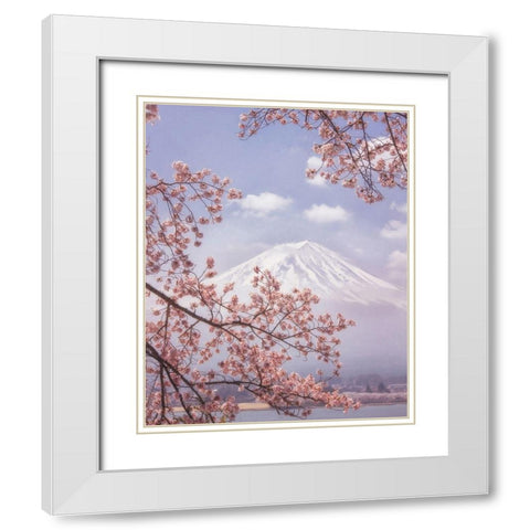 Mt.Fuji in the cherry blossoms White Modern Wood Framed Art Print with Double Matting by Samejima, Makiko