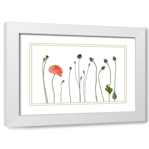New a old White Modern Wood Framed Art Print with Double Matting by Gronkjar, Lotte