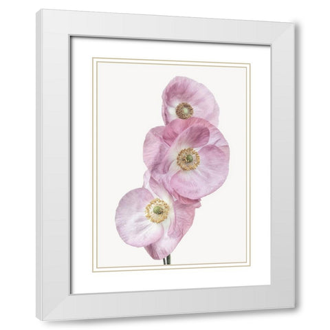 Poppies White Modern Wood Framed Art Print with Double Matting by Gronkjar, Lotte