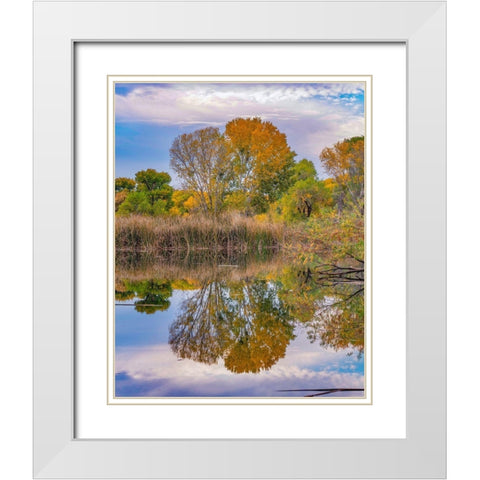Dead Horse Ranch State Park-Arizona-USA White Modern Wood Framed Art Print with Double Matting by Fitzharris, Tim