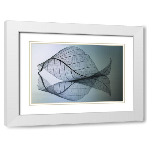Curvaceousness White Modern Wood Framed Art Print with Double Matting by Kowatari, Shihya