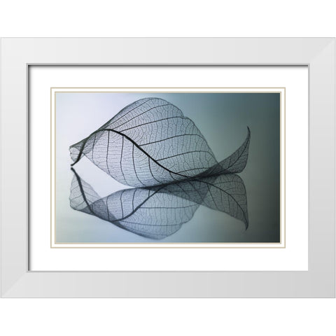 Curvaceousness White Modern Wood Framed Art Print with Double Matting by Kowatari, Shihya
