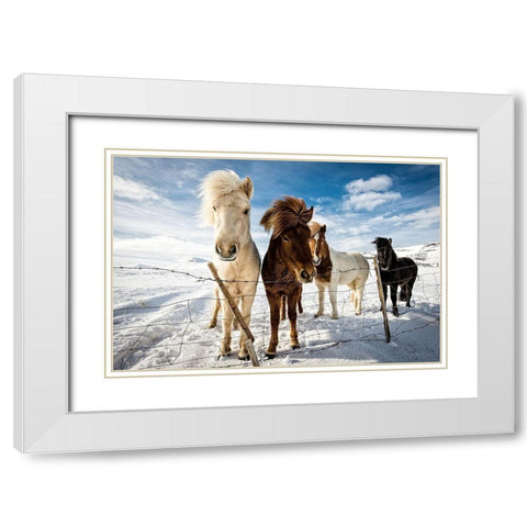 Icelandic Hair Style White Modern Wood Framed Art Print with Double Matting by Leske, Mike
