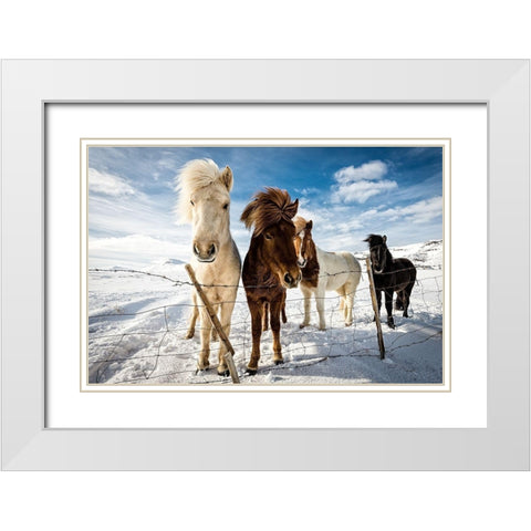 Icelandic Hair Style White Modern Wood Framed Art Print with Double Matting by Leske, Mike