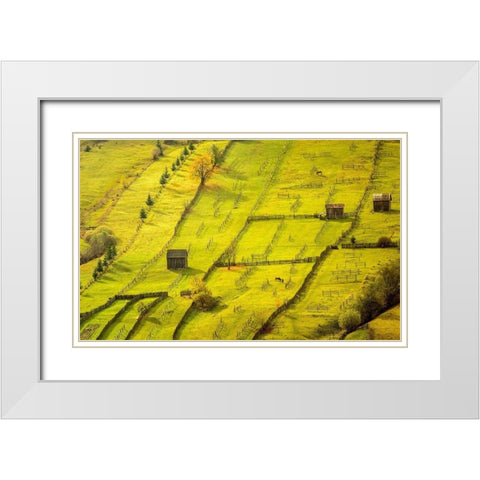 Geometric White Modern Wood Framed Art Print with Double Matting by Gyozo, Hamos