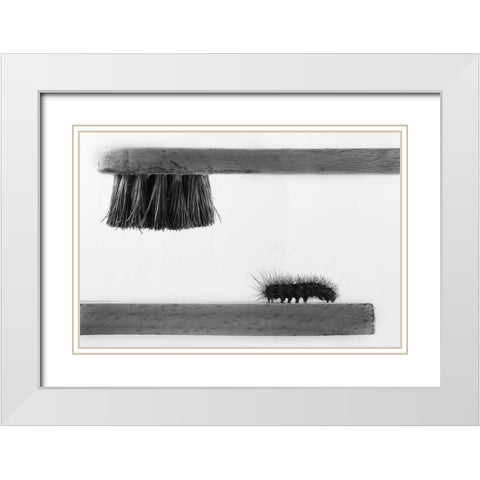 dear friend White Modern Wood Framed Art Print with Double Matting by Mallus, Stefano