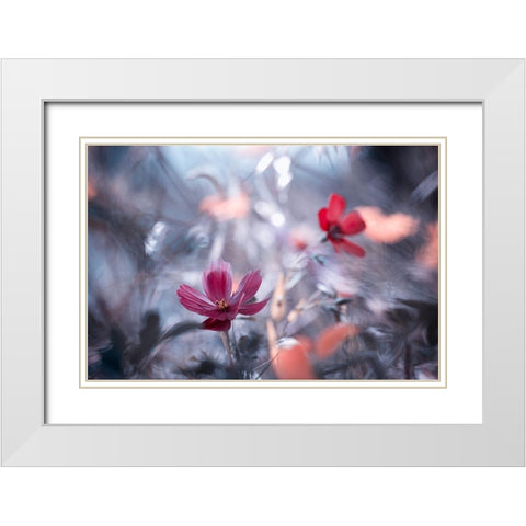 Une autre fleur, une autre histoire White Modern Wood Framed Art Print with Double Matting by Bravin, Fabien