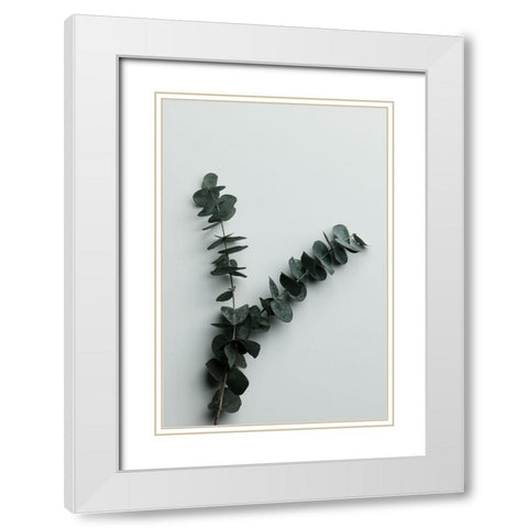 Eucalyptus Wall 02 White Modern Wood Framed Art Print with Double Matting by Artographie Studio