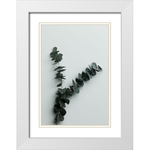 Eucalyptus Wall 02 White Modern Wood Framed Art Print with Double Matting by Artographie Studio