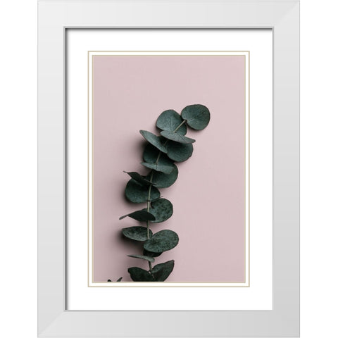 Eucalyptus Pink No 01 White Modern Wood Framed Art Print with Double Matting by Artographie Studio