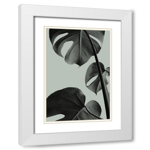 Monstera Teal 03 White Modern Wood Framed Art Print with Double Matting by Artographie Studio