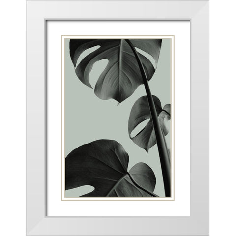 Monstera Teal 03 White Modern Wood Framed Art Print with Double Matting by Artographie Studio