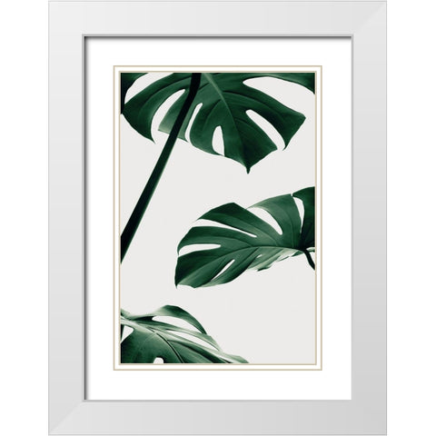 Monstera Natural 13 White Modern Wood Framed Art Print with Double Matting by Artographie Studio