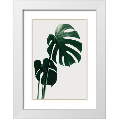 Monstera Natural 16 White Modern Wood Framed Art Print with Double Matting by Artographie Studio