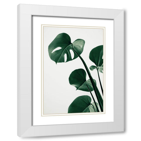 Monstera Natural 38 White Modern Wood Framed Art Print with Double Matting by Artographie Studio