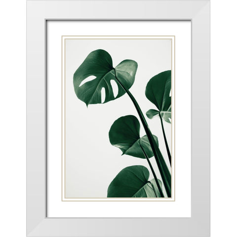 Monstera Natural 38 White Modern Wood Framed Art Print with Double Matting by Artographie Studio