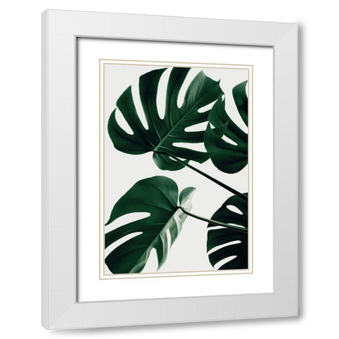 Monstera Natural 43 White Modern Wood Framed Art Print with Double Matting by Artographie Studio