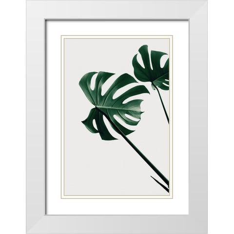 Monstera Natural 47 White Modern Wood Framed Art Print with Double Matting by Artographie Studio