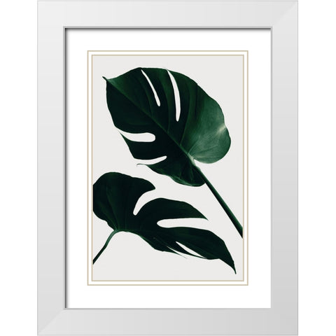 Monstera Natural 45 White Modern Wood Framed Art Print with Double Matting by Artographie Studio