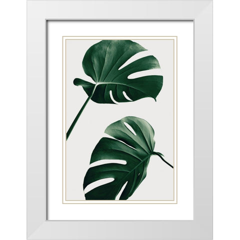 Monstera Natural 46 White Modern Wood Framed Art Print with Double Matting by Artographie Studio