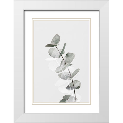 Eucalyptus Creative 05 White Modern Wood Framed Art Print with Double Matting by Artographie Studio