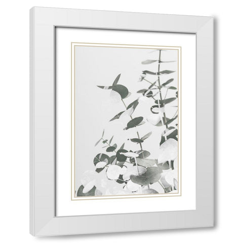 Eucalyptus Creative 10 White Modern Wood Framed Art Print with Double Matting by Artographie Studio