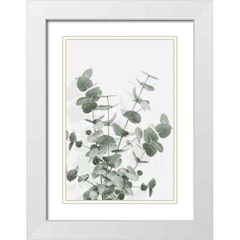 Eucalyptus Creative 16 White Modern Wood Framed Art Print with Double Matting by Artographie Studio