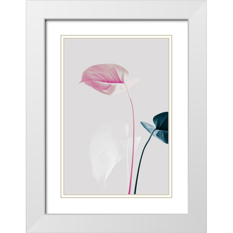 Monstera Creative 24 White Modern Wood Framed Art Print with Double Matting by Artographie Studio