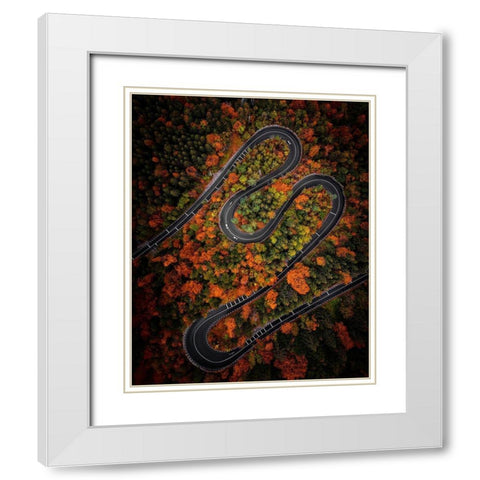 Curves White Modern Wood Framed Art Print with Double Matting by Razvan