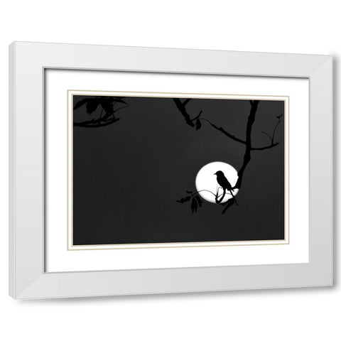 Nightingale of my Dreams White Modern Wood Framed Art Print with Double Matting by Maiti, Asamanj