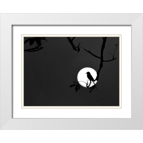 Nightingale of my Dreams White Modern Wood Framed Art Print with Double Matting by Maiti, Asamanj