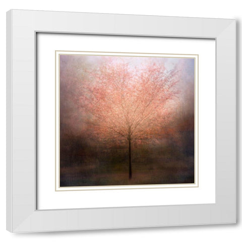 Dream Come True White Modern Wood Framed Art Print with Double Matting by Holmstrom, Katarina