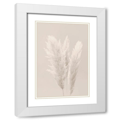 White Grasses White Modern Wood Framed Art Print with Double Matting by Artographie Studio