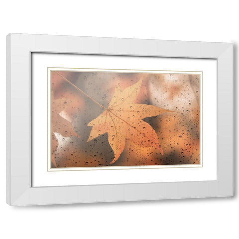 Melancholy White Modern Wood Framed Art Print with Double Matting by Lenka