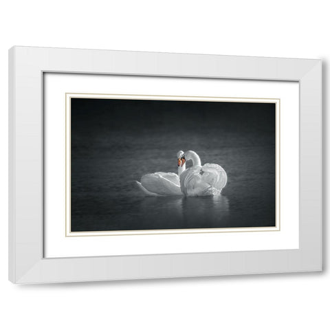 Public Display of Affection White Modern Wood Framed Art Print with Double Matting by Hu, Mei