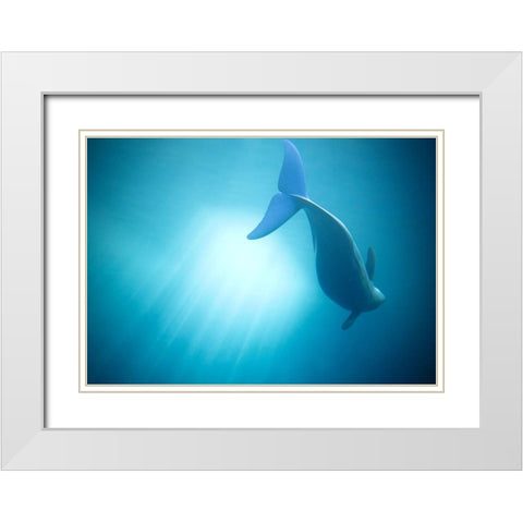 Velure Moana White Modern Wood Framed Art Print with Double Matting by Lintaman, Adachi