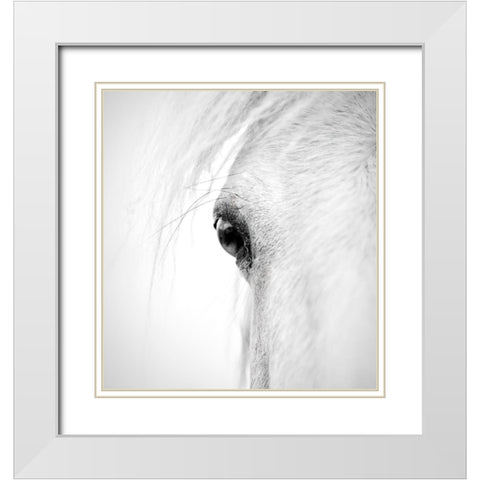 Horse Eye White Modern Wood Framed Art Print with Double Matting by Zhao, Alex